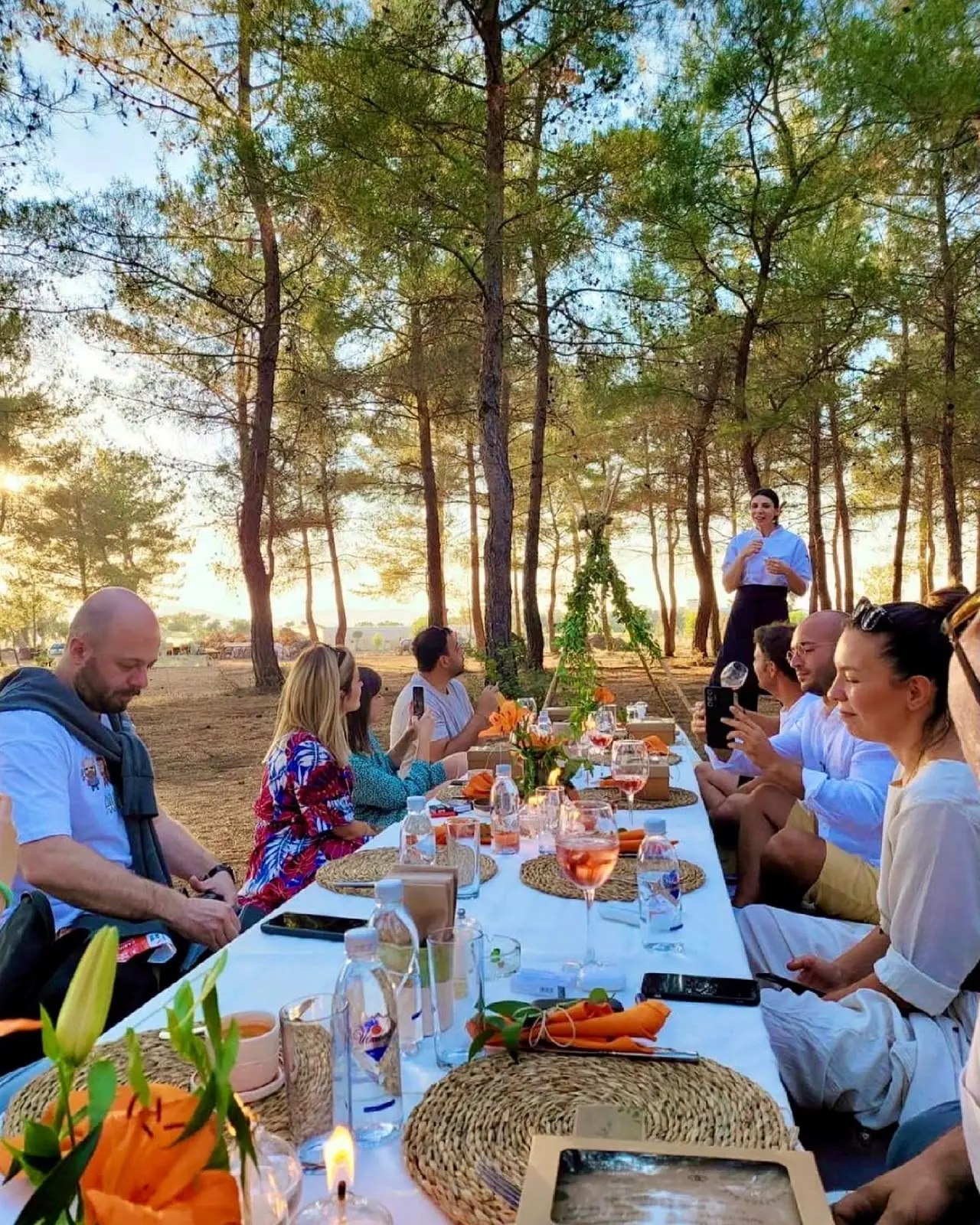 Long table with guests under pine trees