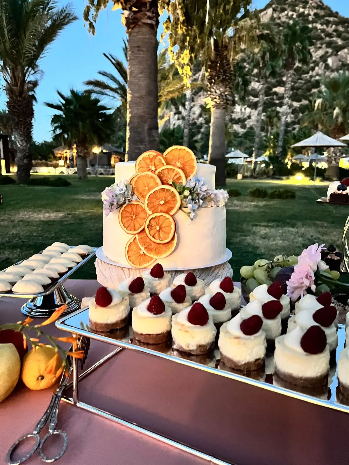 Cake with dried orange slices and raspberry mini cheesecakes